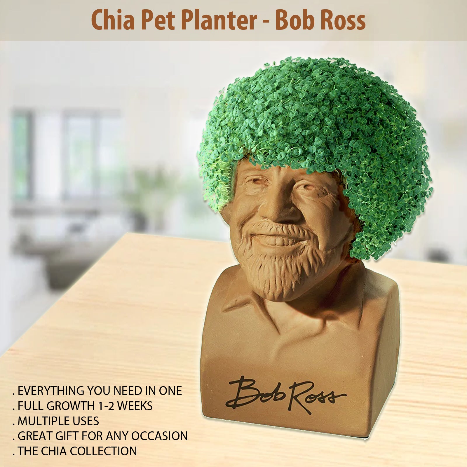 Chia Pet Planter Home Decor Pottery Products - Bob Ross